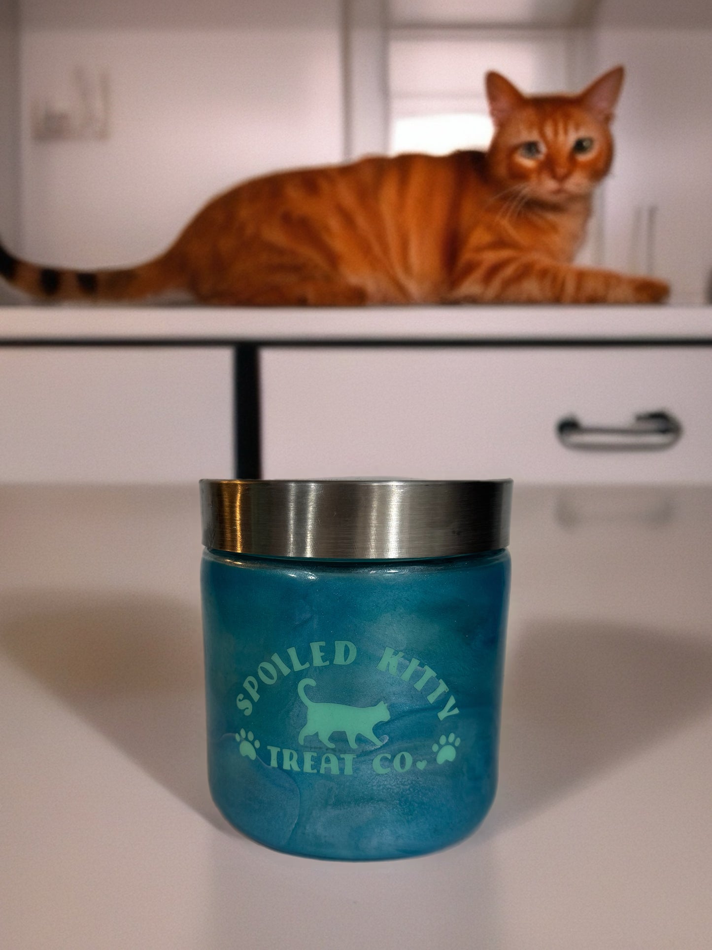 “Spoiled Kitty Treat Co.” Blue Treat Jar