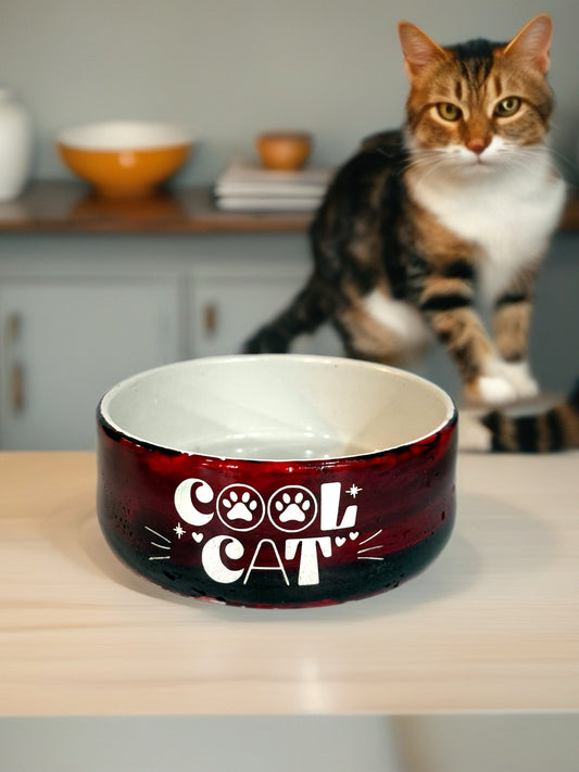 “Cool Cat” Red Ceramic Dish